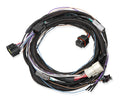 HLY558-470.jpg